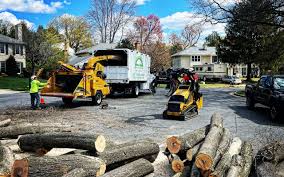 Trusted Yreka, CA Tree Care Experts